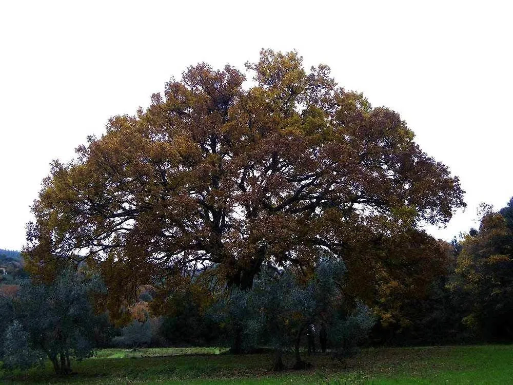 Prato A Baldo Villa Massa Marittima Farm stay