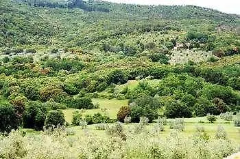 Prato A Baldo Villa Massa Marittima